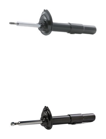 Ridex 854S20319 Shock Absorber