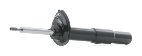 Ridex 854S20319 Shock Absorber, photo 2