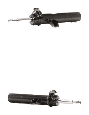 Ridex 854S20325 Shock Absorber
