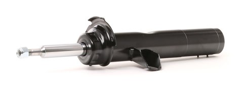 Ridex 854S20325 Shock Absorber, photo 2