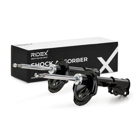 Ridex 854S2034 Shock Absorber, photo 2