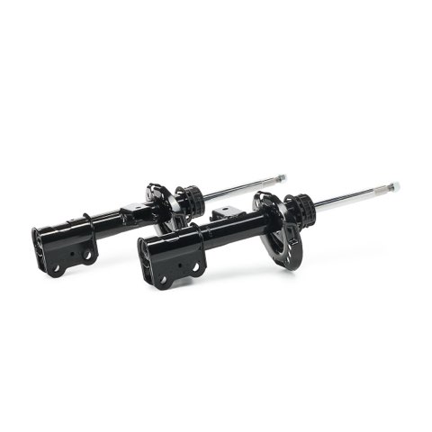 Ridex 854S20340 Shock Absorber, photo 3