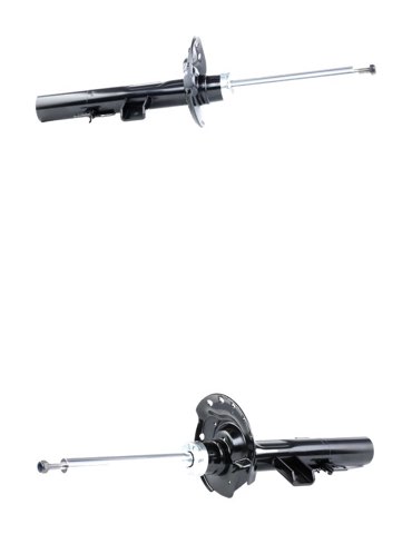 Ridex 854S20344 Shock Absorber