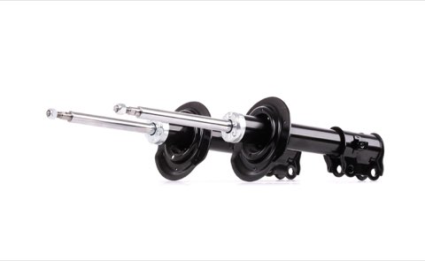 Ridex 854S2035 Shock Absorber