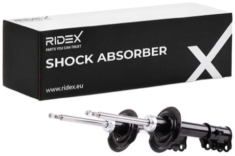Ridex 854S2035 Shock Absorber, photo 2