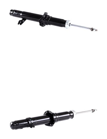 Ridex 854S20372 Shock Absorber