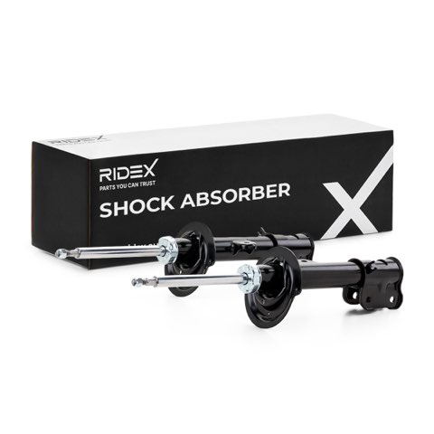 Ridex 854S20378 Shock Absorber
