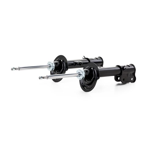 Ridex 854S20378 Shock Absorber, photo 2