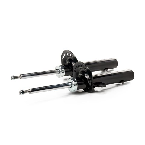 Ridex 854S20416 Shock Absorber, photo 2