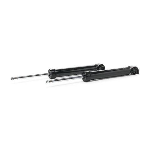 Ridex 854S20428 Shock Absorber, photo 2