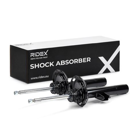 Ridex 854S20429 Shock Absorber