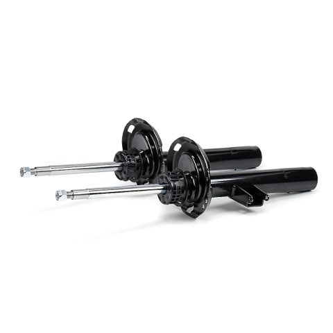 Ridex 854S20429 Shock Absorber, photo 2
