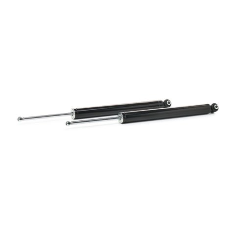 Ridex 854S20431 Shock Absorber, photo 2