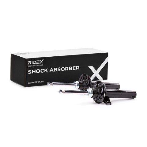 Ridex 854S20437 Shock Absorber