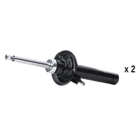 Ridex 854S20437 Shock Absorber, photo 2