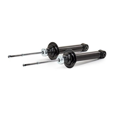 Ridex 854S20446 Shock Absorber