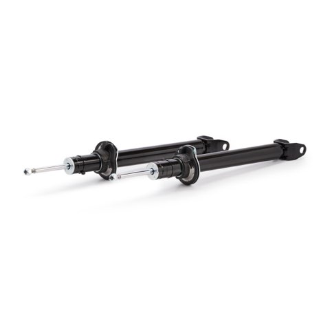 Ridex 854S20448 Shock Absorber, photo 2