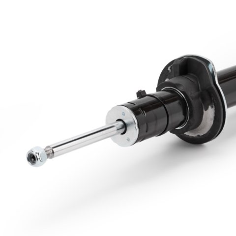 Ridex 854S20448 Shock Absorber, photo 5