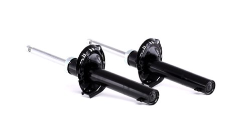 Ridex 854S2045 Shock Absorber