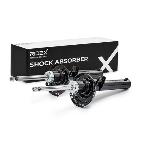 Ridex 854S2045 Shock Absorber, photo 2