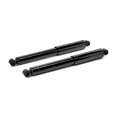Ridex 854S20473 Shock Absorber, photo 3