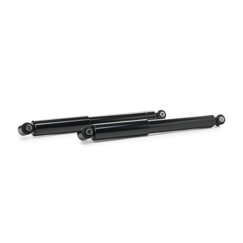 Ridex 854S20487 Shock Absorber, photo 2