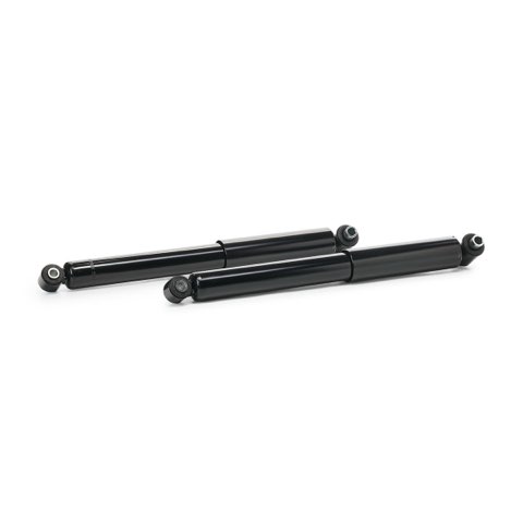 Ridex 854S20487 Shock Absorber, photo 3