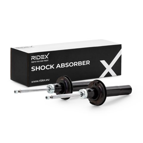 Ridex 854S20489 Shock Absorber
