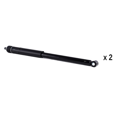 Ridex 854S20490 Shock Absorber, photo 2