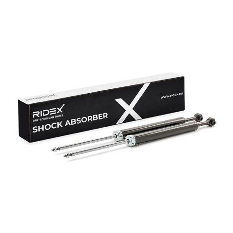 Ridex 854S20570 Shock Absorber