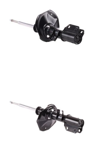 Ridex 854S20689 Shock Absorber
