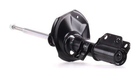 Ridex 854S20689 Shock Absorber, photo 2
