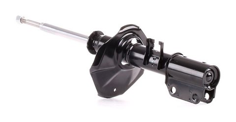 Ridex 854S20689 Shock Absorber, photo 3