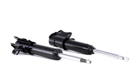 Ridex 854S2078 Shock Absorber
