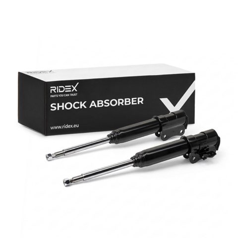 Ridex 854S2078 Shock Absorber, photo 2