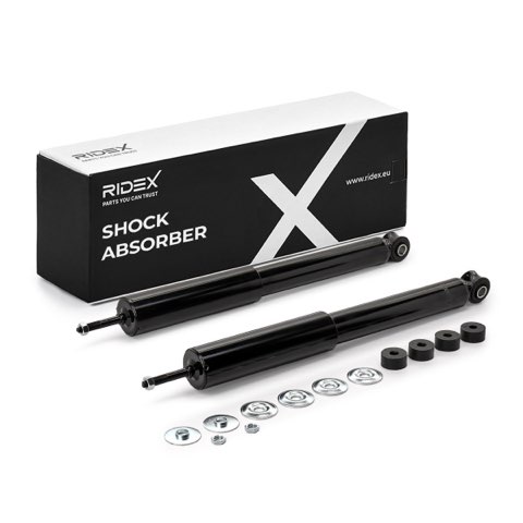 Ridex 854S20789 Shock Absorber