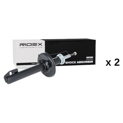 Ridex 854S20818 Shock Absorber