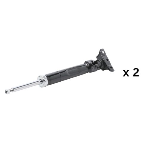 Ridex 854S20823 Shock Absorber