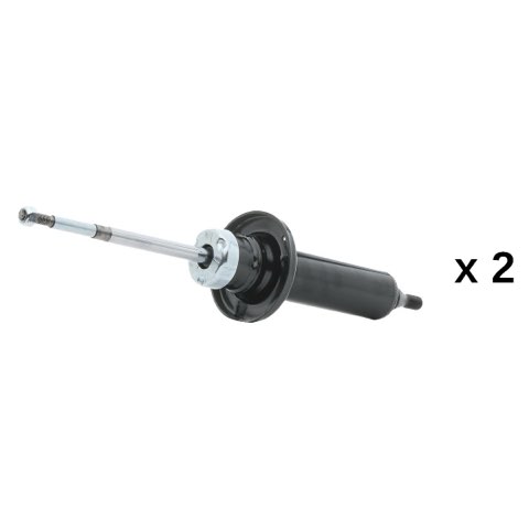 Ridex 854S20869 Shock Absorber