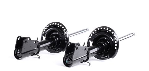 Ridex 854S2087 Shock Absorber
