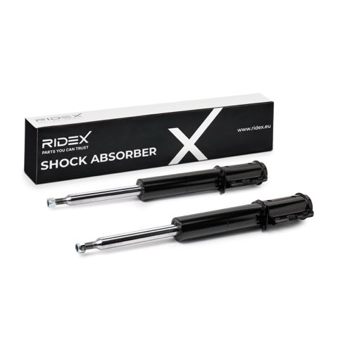 Ridex 854S2089 Shock Absorber, photo 2