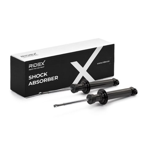 Ridex 854S20896 Shock Absorber