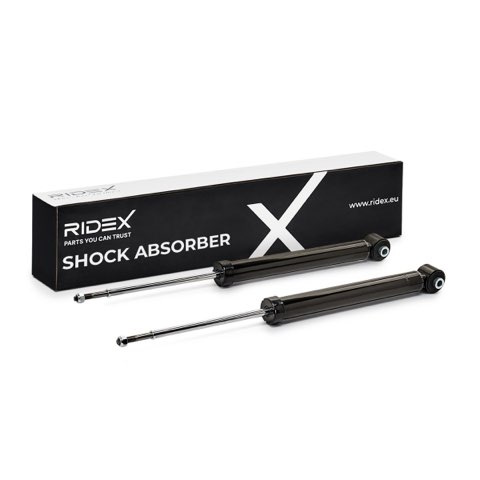 Ridex 854S20909 Shock Absorber