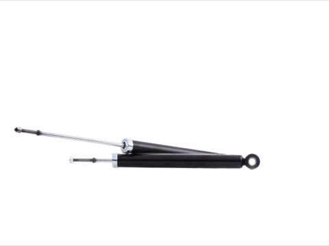 Ridex 854S2091 Shock Absorber