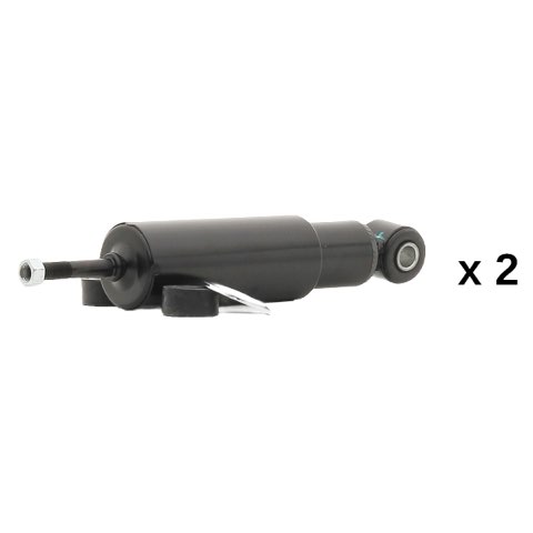 Ridex 854S20923 Shock Absorber, photo 2