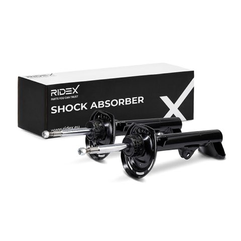 Ridex 854S20926 Shock Absorber