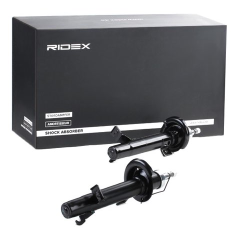 Ridex 854S2093 Shock Absorber
