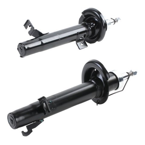 Ridex 854S2093 Shock Absorber, photo 2