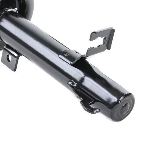 Ridex 854S2093 Shock Absorber, photo 3