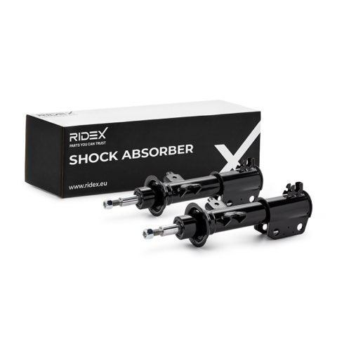 Ridex 854S20934 Shock Absorber